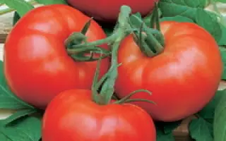 Навигатор F1 