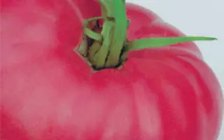 Розовые щечки