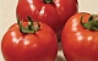 Партнер Семко F1