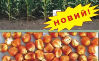 Індустрія МВ / Индустрия МВ