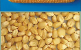 ЕРЛІКОН / ЭРЛИКОН