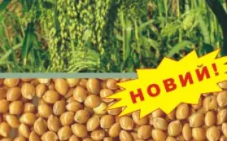 КОНСТАНТИНІВСЬКЕ / КОНСТАНТИНОВСКОЕ