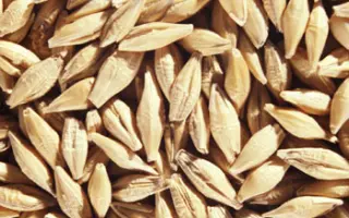 ІНКЛЮЗИВ / ИНКЛЮЗИВ