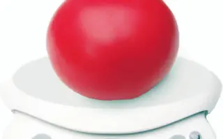 Фенда F1 / Fenda F1