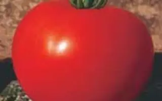 ЭСМЕРАЛЬДА F1