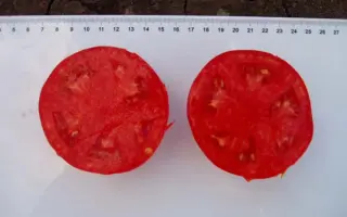 ЭСМЕРАЛЬДА F1