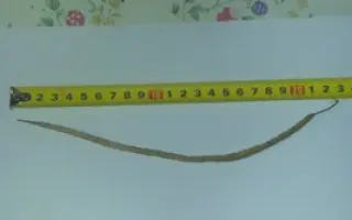 АНДРОИД ФТ-99 / ANDROID FT- 99