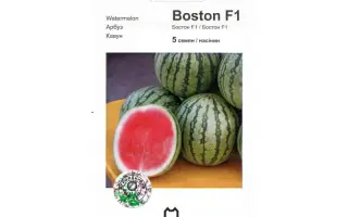 Бостон F1 / Boston F1