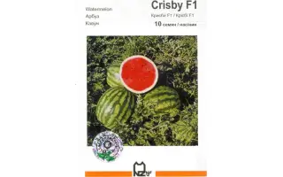 Крисби F1 / Crisby F1