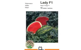 Леди F1 / Lady F1