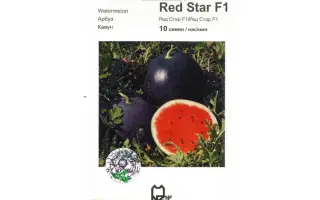 Ред Стар F1 / Red Star F1