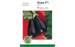 Эпик F1 / Epic F1