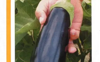 Шарапова РЦ F1 / Sharapova RZ F1