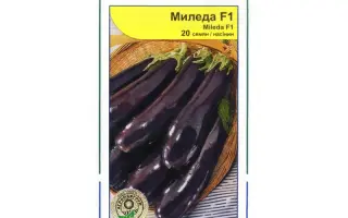 Миледа F1 / Mileda F1