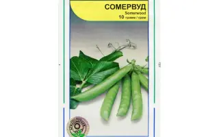 Сомервуд / Somerwood