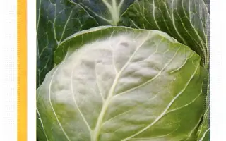 Этма РЦ F1 / Єтма РЦ F1 / Jetma RZ F1