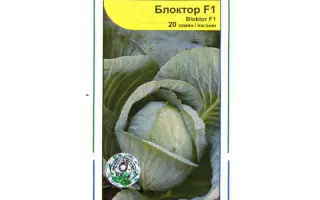 Блоктор F1 / Bloktor F1