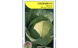 Глория F1 / Gloria F1