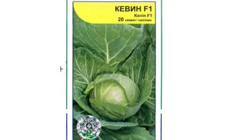 Кевин F1 / Kevin F1