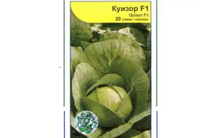 Куизор F1 / Quisor F1