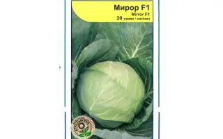 Миррор F1 / Mirror F1