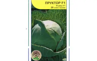 Пруктор F1 / Pructor F1