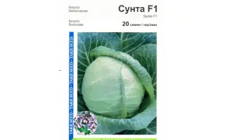 СУНТА F1 / SUNTA F1