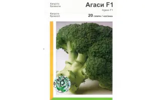 Агаси РЦ F1 / Agassi RZ F1