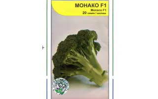 Монако F1 / Monaco F1