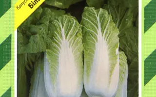 Билко F1 / Bilko F1