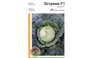 Эстрема F1 / Естрема F1 / Estrema F1