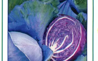 Ребол F1 / Reball F1