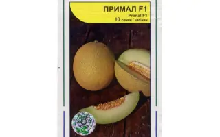 Примал F1 / Primal F1