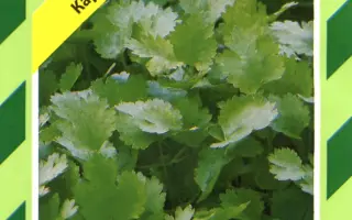 Карибе / Caribe