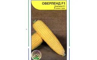 Оверленд F1 / Overland F1