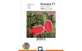Думара F1 / Dumara F1