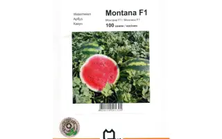 Монтана F1 / Montana F1