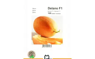 Делано F1 / Delano F1