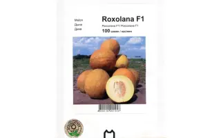 Роксолана F1 / Roxolana F1