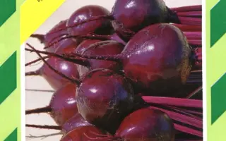 Водан F1 / Wodan F1