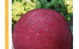 Бэбибит РЦ / Babybeat RZ