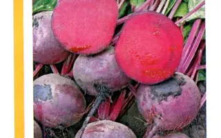 Зеппо РЦ F1 / Zeppo RZ F1