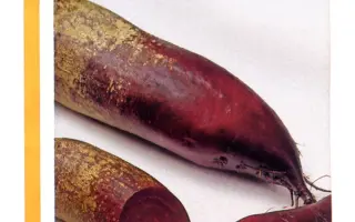 Карилон / Carillon