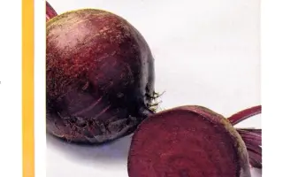 Либеро РЦ / Libero RZ