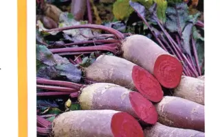 Лома РЦ  / Loma RZ