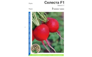Селеста F1 / Selesta F1 / Celesta F1