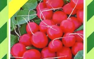 Рудольф / Rudolf