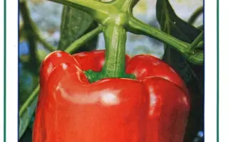 Юпитер F1 / Jupiter F1