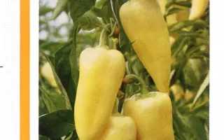 Сноувайт F1 / Snowwhite F1