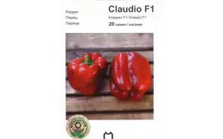 Клаудио F1 / Claudio F1